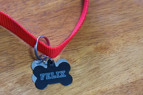 Pet ID tags & bowls